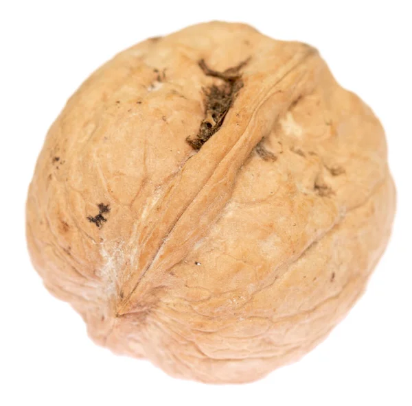 beyaz arkaplanda izole edilmiş ceviz