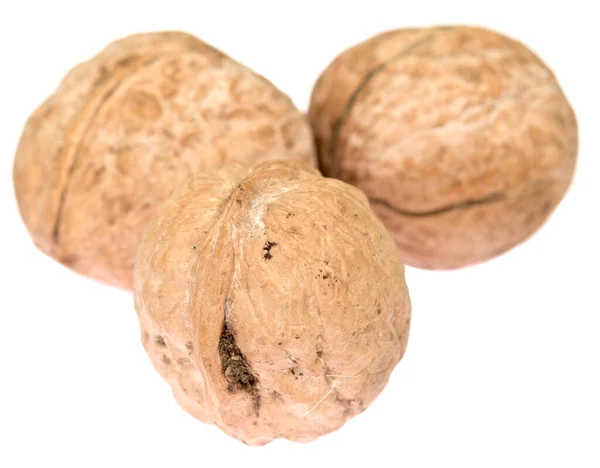 Walnuts Isolated White Background — Stock Photo, Image