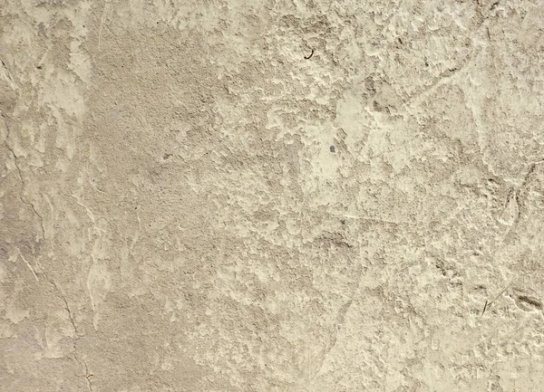 Arkaplan olarak beton duvar