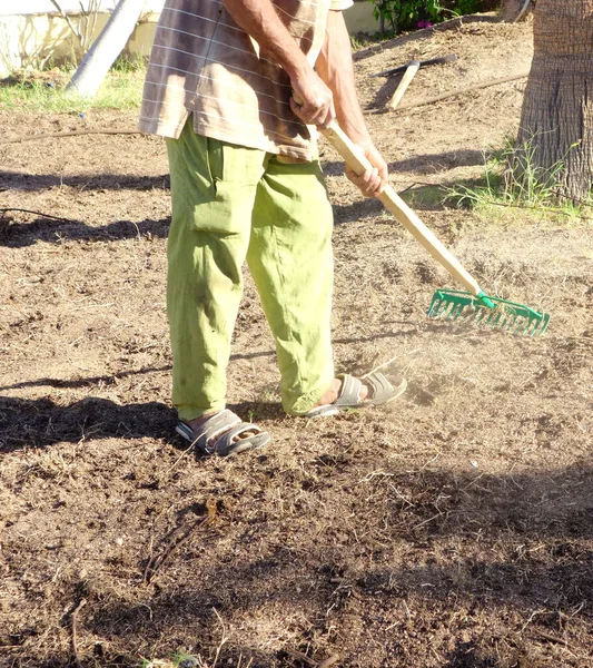 Arbeiter Einem Garten — Stockfoto