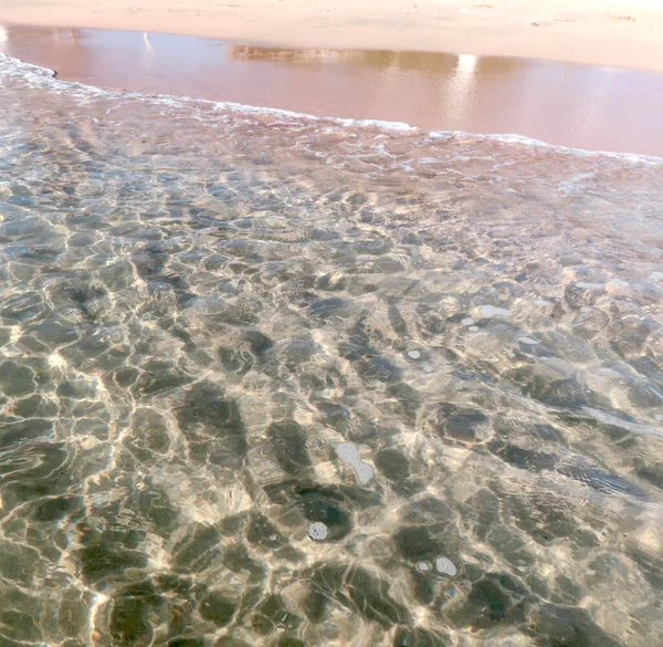 Beautiful Sea Wave Sandy Beach — Stock Photo, Image