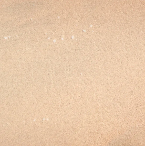 Mokrý Písek Jako Pozadí — Stock fotografie