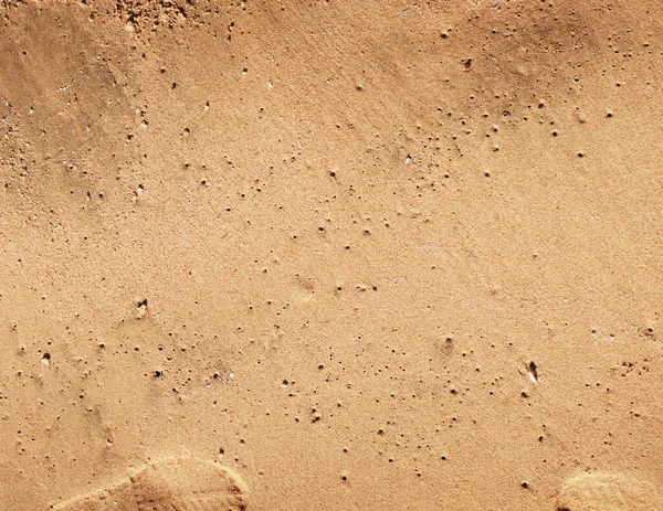 Wet Sand Background — Stock Photo, Image
