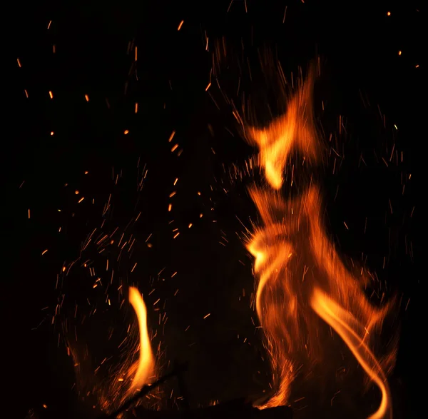 Fire Cat Black Background — Stock Photo, Image