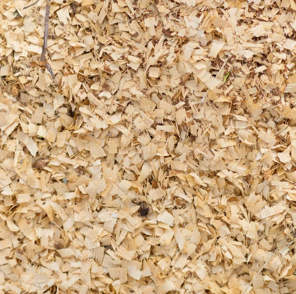 Sawdust Background — Stock Photo, Image