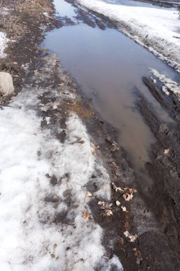 Yıllık bahar kirli yolu