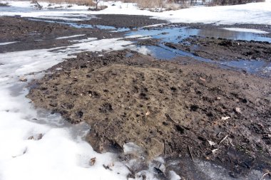 Yıllık bahar kirli yolu