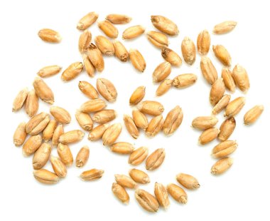 Beyaz arkaplanda yalıtılmış buğday tanesi