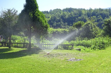Su püskürtücü çimlerin üzerine su püskürtüyor.