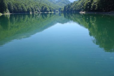 Ulusal park Biogradska dağı, Karadağ