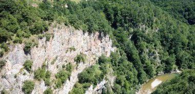 Kuzey Karadağ 'daki Tara Nehri ve Kanyonu