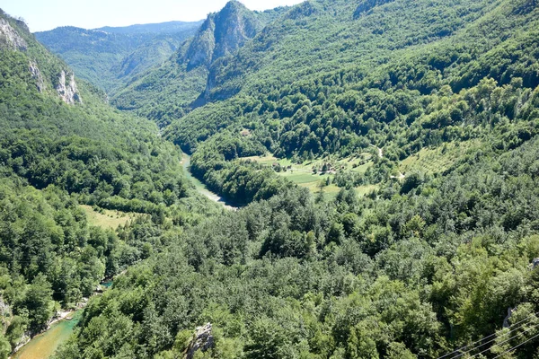 Rio Tara Canyon Norte Montenegro — Fotografia de Stock