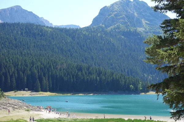 Srpna 2017 Lidé Černém Jezeře Crno Jezero Jezero Hoře Durmitor — Stock fotografie