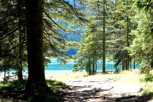 Black Lake Crno Jezero Národní Park Durmitor Černé Hoře — Stock fotografie