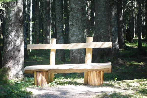 Wooden Bench Forest — Stock Photo, Image