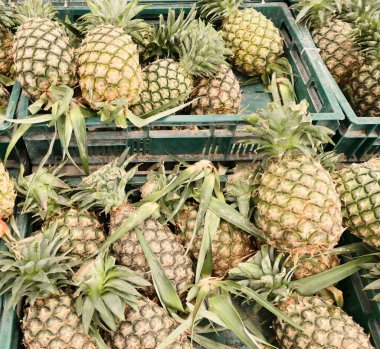 Markette taze ananas.
