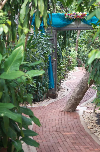 Chemin Chaussée Dans Jardin — Photo