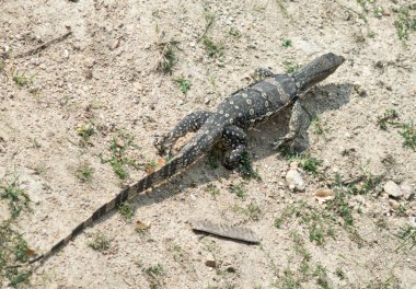 Yukarıdan Varan görünümü