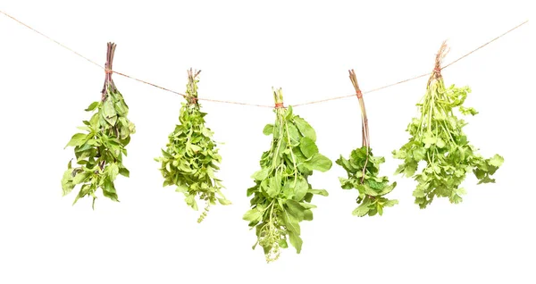 Hanging Fresh Herbs Isolated White Background Basil Mint Parsley — Stock Photo, Image