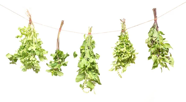 Suspension Herbes Fraîches Isolées Sur Fond Blanc Basilic Menthe Persil — Photo