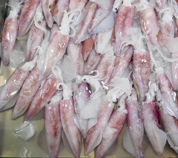 Calamares Frescos Crudos Mercado —  Fotos de Stock