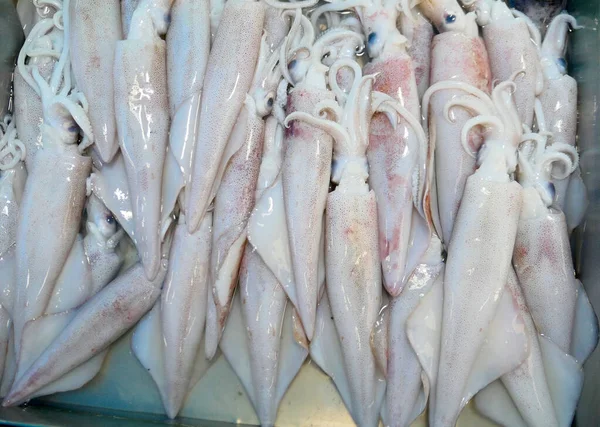 Montón Calamares Crudos Mercado —  Fotos de Stock