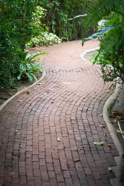 Curve Pathway Garden — Stock Photo, Image