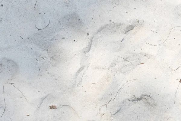 White Beach Sand Background — Stock Photo, Image
