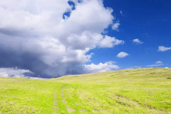 空と草の背景 — ストック写真