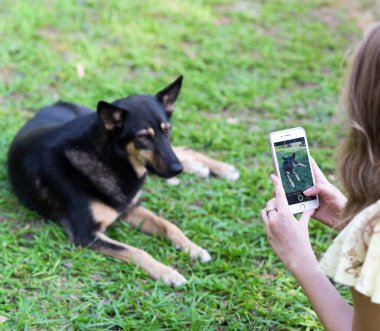 Kadın cep telefonuyla köpeğinin fotoğrafını çekiyor.