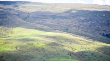 Dağ yeşili güzel vadi