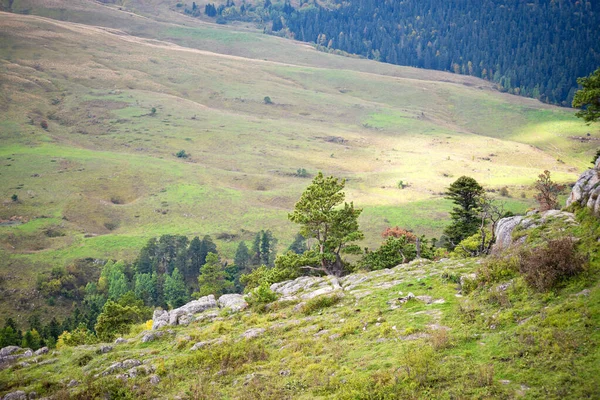 Bellissimo Paesaggio Montano Estivo — Foto Stock