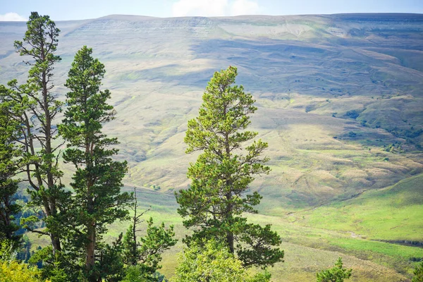 Vacker Sommar Bergslandskap — Stockfoto