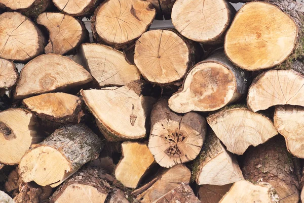 Stacked Firewood Background — Stock Photo, Image