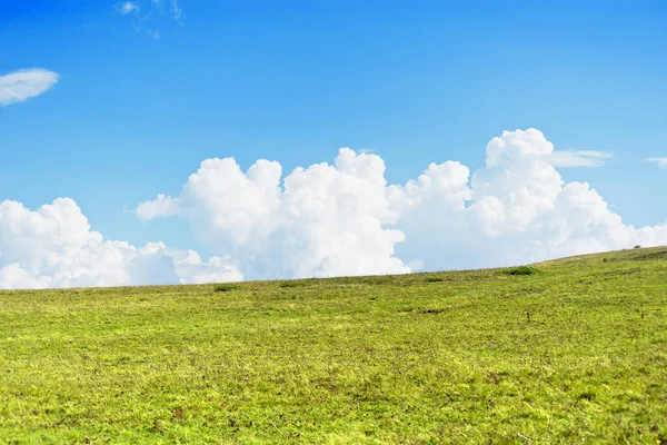 Sky Grass Background — Stock Photo, Image