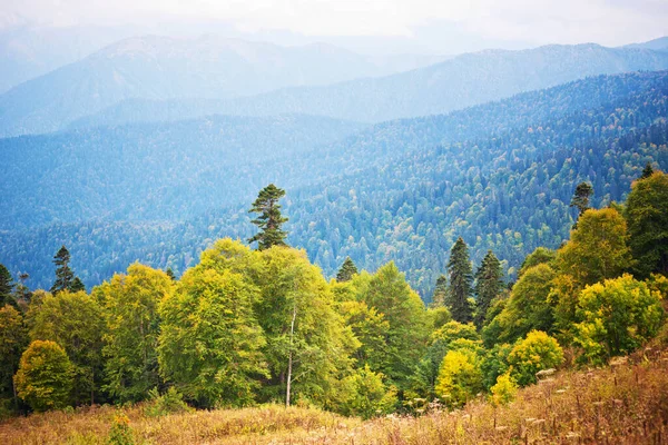 Bellissimo Paesaggio Estivo Montagna — Foto Stock