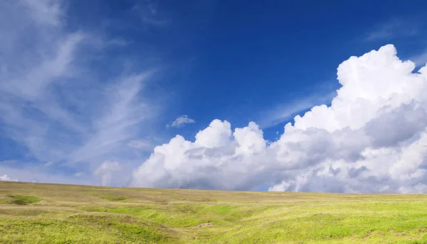 Sky Grass Background — Stock Photo, Image