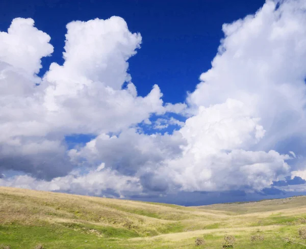 Himmel Och Gräs Bakgrund — Stockfoto