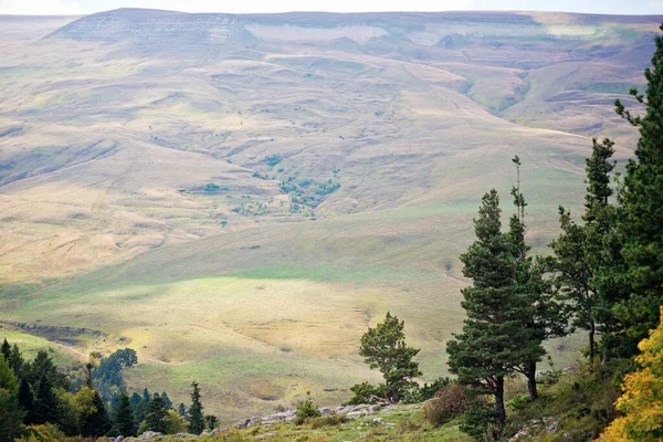 Górska Piękna Zielona Dolina — Zdjęcie stockowe