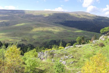 Dağ yeşili güzel vadi