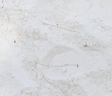 Arka plan olarak beyaz kumsal