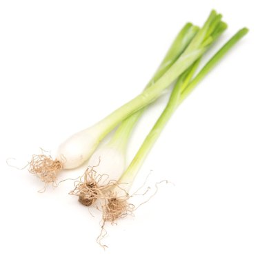 Taze yeşil soğan beyaz arkaplanda izole