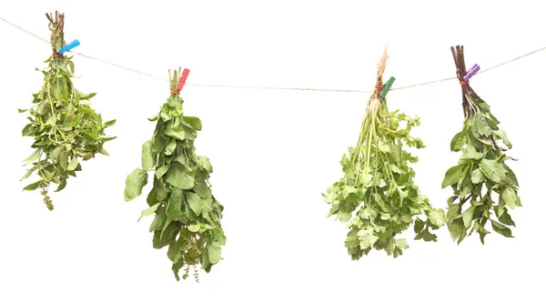 Hanging Fresh Herbs Isolated White Background — Stock Photo, Image