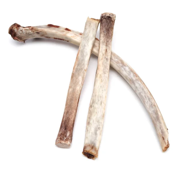 Beyaz Arkaplanda Izole Edilmiş Kaburga Kemikleri — Stok fotoğraf