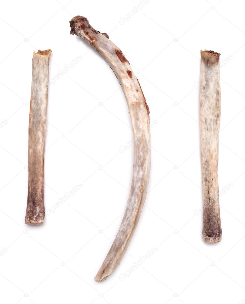 Rib bones isolated on white background