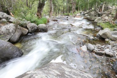 Yavaş kepenkleri olan güzel dağ nehri