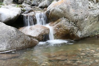 Yavaş kepenkli dağ deresi