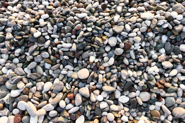 Grey Pebble Background — Stock Photo, Image