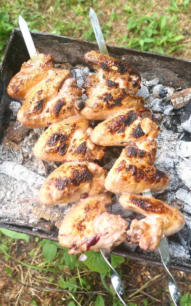 Gegrillte Hühnerflügel Spieße Fertig Zum Essen — Stockfoto