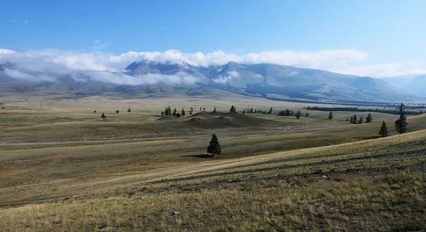 Severo Chuiskii Sıradağları Dağ Vadisi — Stok fotoğraf